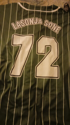Custom Pinstripe Baseball Jersey Green/White Personalized Name Number Logo photo review